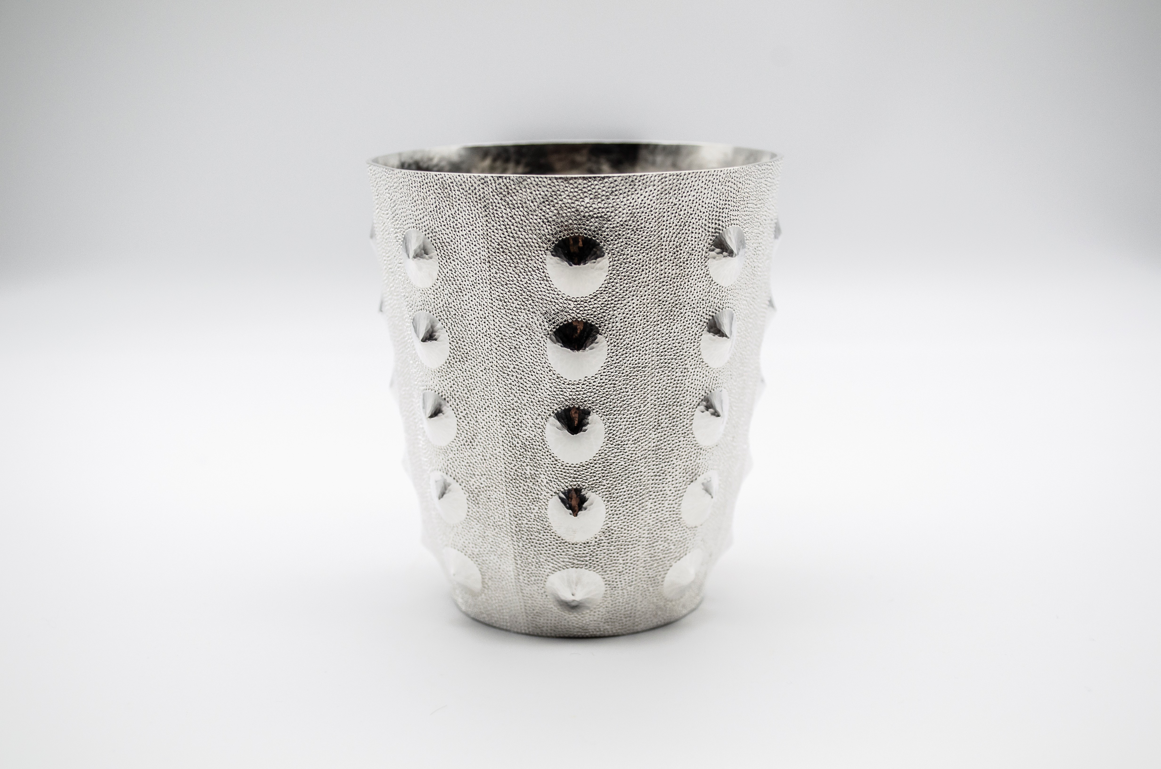 Takuya Kamiyama – Silver winner 2018